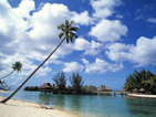 Summer wallpapers68
